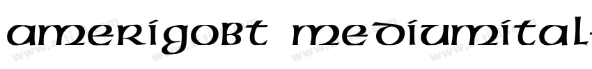 AmerigoBT Mediumital字体转换
